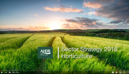AHDB Horticulture Strategy 2017-2020 